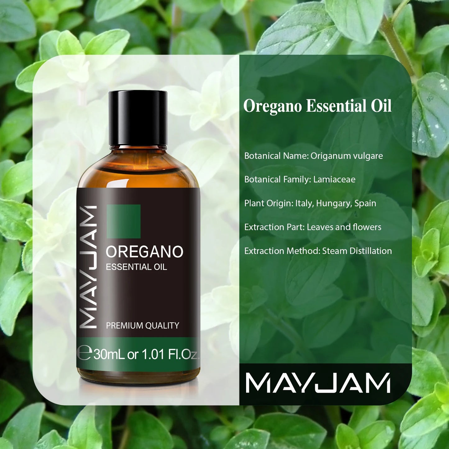 Óleo Essencial 30ml com Conta-Gotas – Limão, Eucalipto, Hortelã-Verde para Aromaterapia, Difusor e Umidificador
